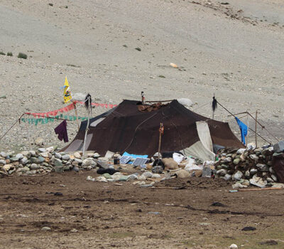 Nomadic life in Ladakh